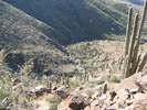 photo thumbnail #13