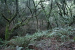 photo thumbnail #13