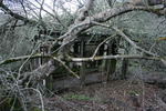 photo thumbnail #15