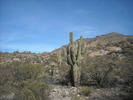 photo thumbnail #7