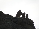photo thumbnail #10