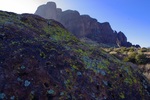 photo thumbnail #9