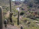 photo thumbnail #14