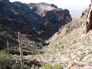 photo thumbnail #1