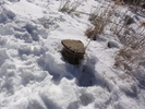 photo thumbnail #2