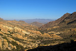 photo thumbnail #9