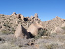 photo thumbnail #4