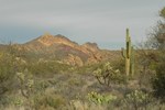 photo thumbnail #5