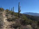 photo thumbnail #1