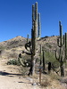 photo thumbnail #4