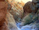 photo thumbnail #4