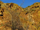 photo thumbnail #8