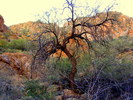 photo thumbnail #12