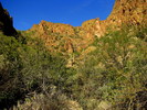 photo thumbnail #13