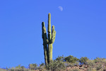 photo thumbnail #14