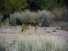 photo thumbnail #13