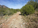 photo thumbnail #4
