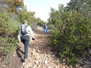 photo thumbnail #6