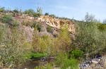 photo thumbnail #5