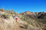 photo thumbnail #11