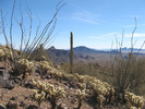photo thumbnail #6