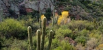 photo thumbnail #3