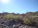 photo thumbnail #9