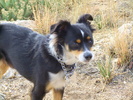 photo thumbnail #4