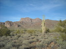photo thumbnail #6