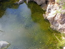 photo thumbnail #12