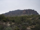 photo thumbnail #1