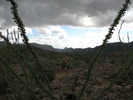 photo thumbnail #15