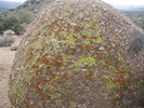 photo thumbnail #9