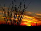 photo thumbnail #7