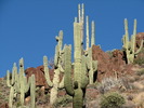 photo thumbnail #2