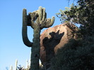 photo thumbnail #3