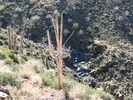 photo thumbnail #8