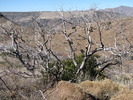 photo thumbnail #12