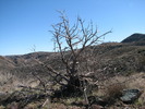 photo thumbnail #13