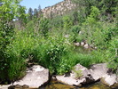 photo thumbnail #10