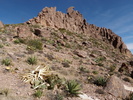 photo thumbnail #8