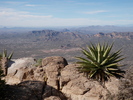 photo thumbnail #10