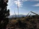 photo thumbnail #12