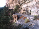 photo thumbnail #4