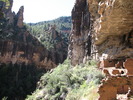 photo thumbnail #11