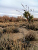 photo thumbnail #3