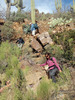 photo thumbnail #8