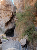 photo thumbnail #13