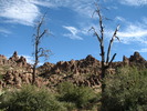 photo thumbnail #8