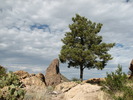 photo thumbnail #11